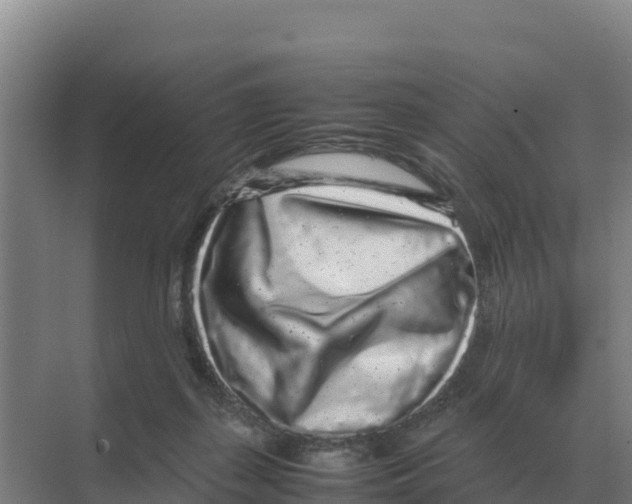 X0000070210267200606232112