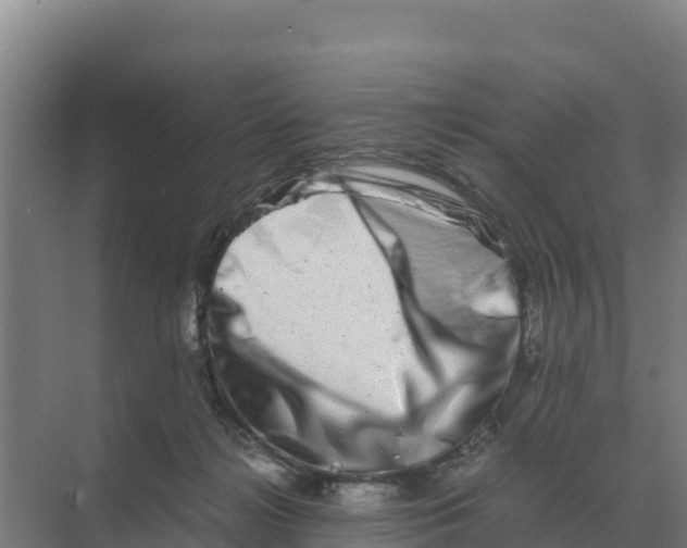 X0000070210268200606232112