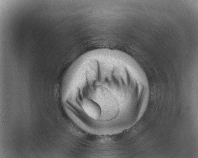 X0000070210278200606232112