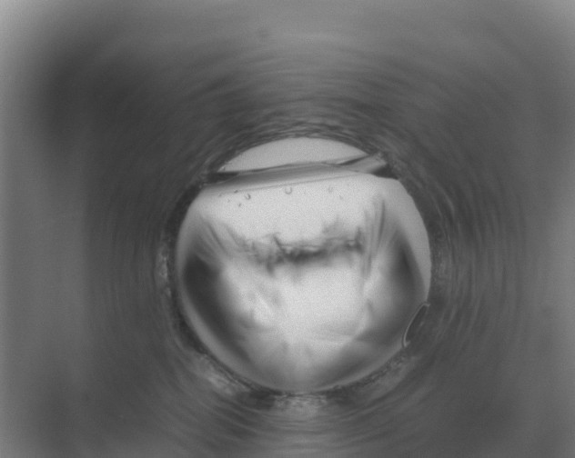 X0000070210282200606232112