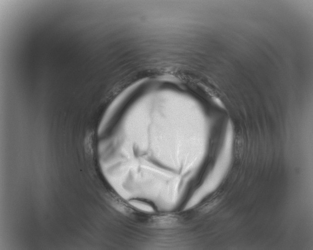 X0000070210286200606232112