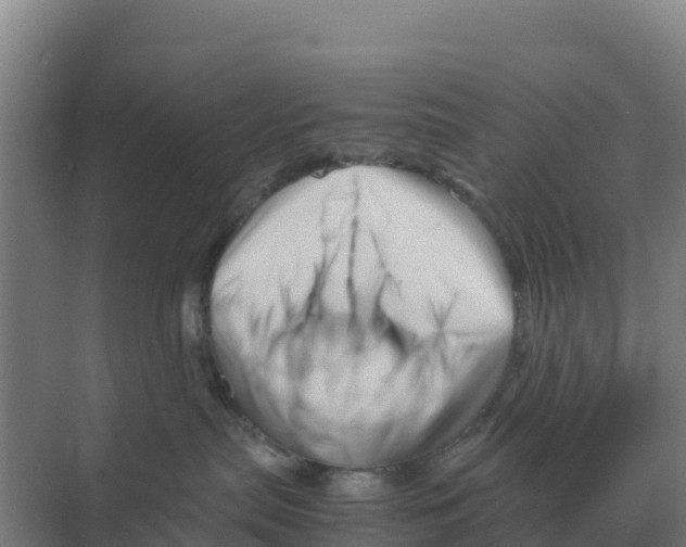 X0000070210287200606232113