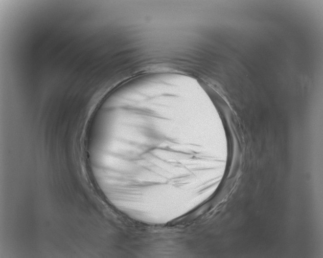 X0000070210289200606232112