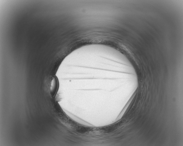 X0000070210307200606232111