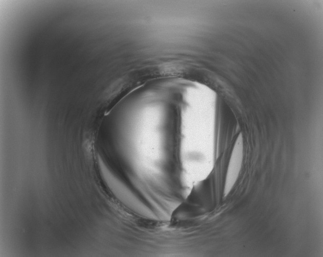 X0000070210329200606232111