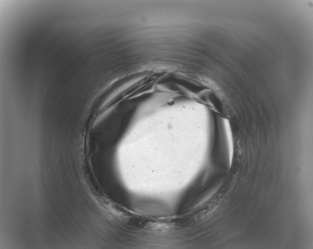 X0000070210352200606232110