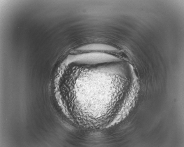 X0000070210357200606232110