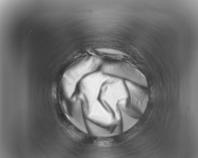 X0000070210368200606232111