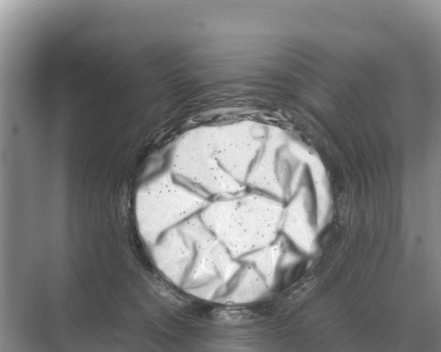 X0000070210372200606232111