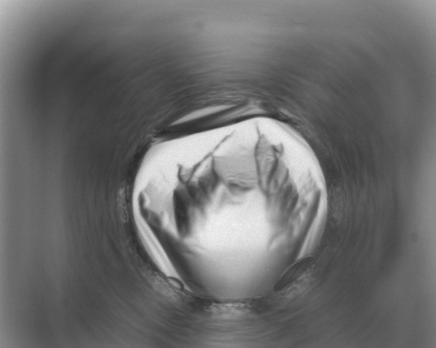 X0000070210378200606232111