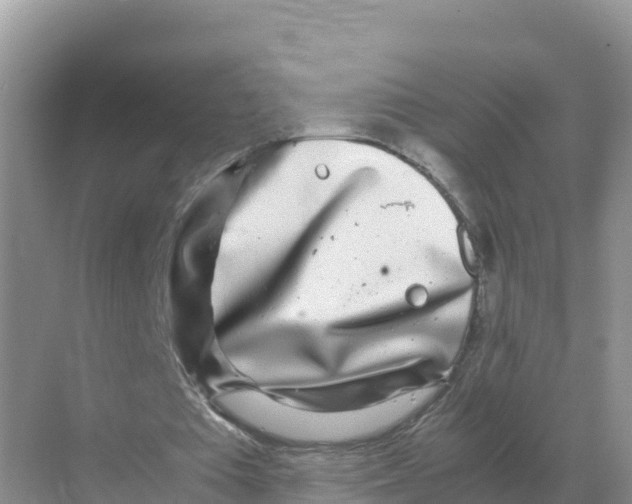 X0000070210385200606232110