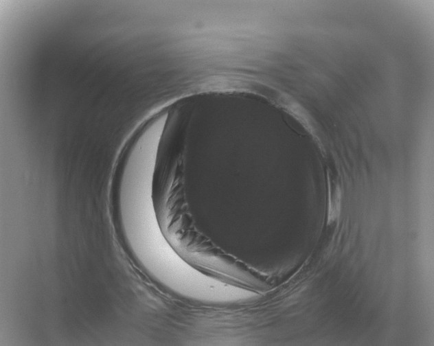 X0000070210387200606232110