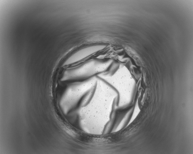 X0000070210399200606232110