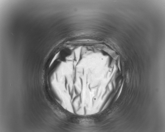 X0000070210400200606232110