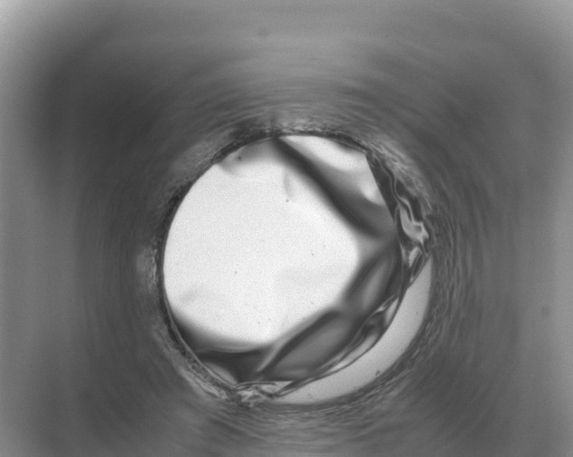 X0000070210401200606232110