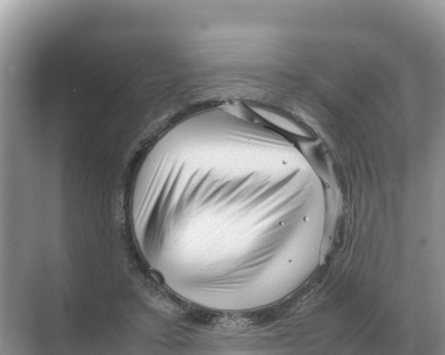 X0000070210403200606232110