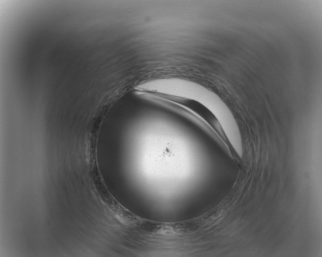 X0000070210416200606232110