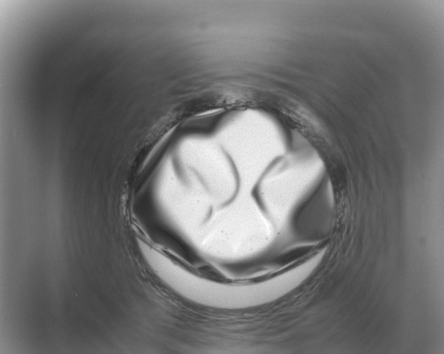 X0000070210417200606232110