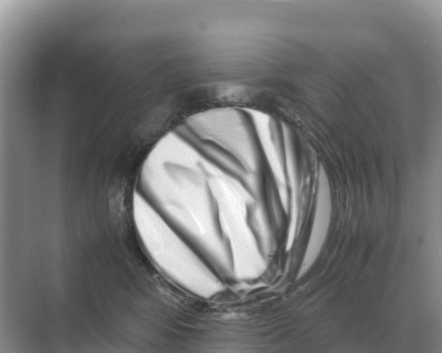 X0000070210424200606232109