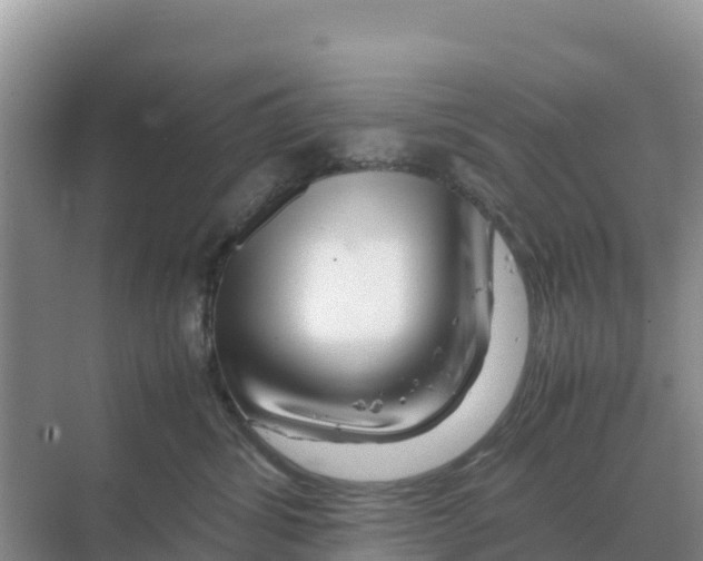 X0000070210428200606232109