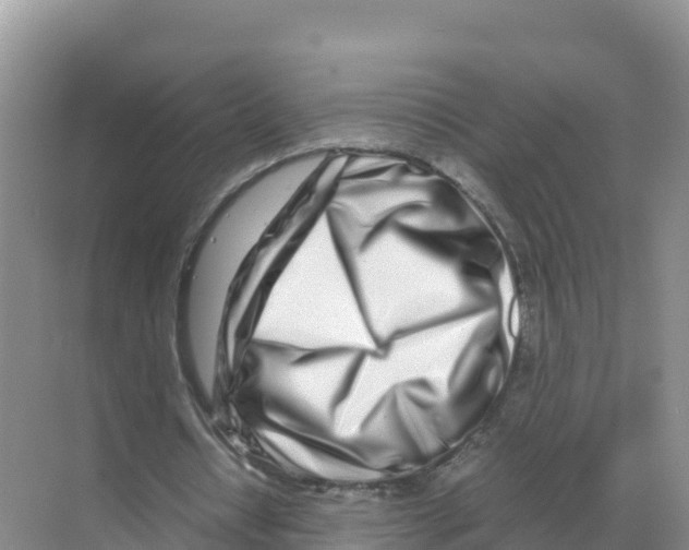 X0000070210434200606232108