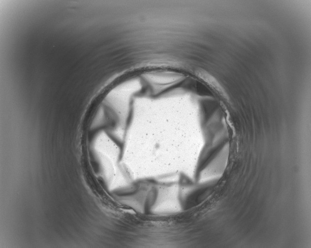 X0000070210436200606232109