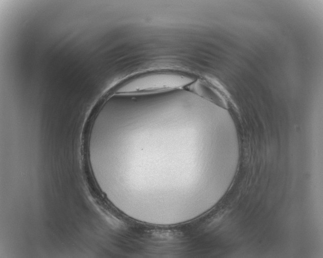 X0000070210439200606232109