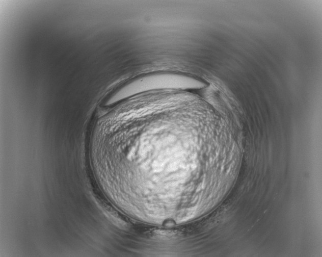 X0000070210442200606232109
