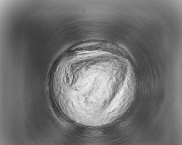 X0000070210443200606232109
