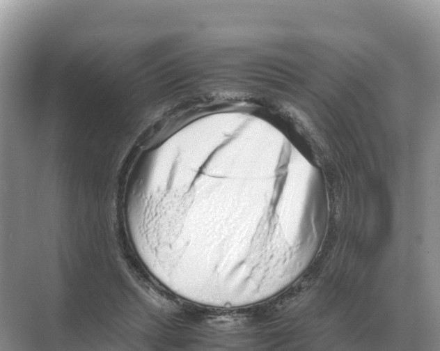 X0000070210447200606232109
