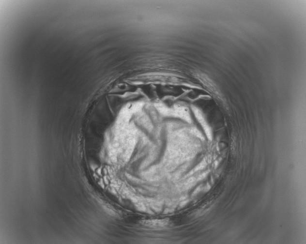 X0000070210449200606232109