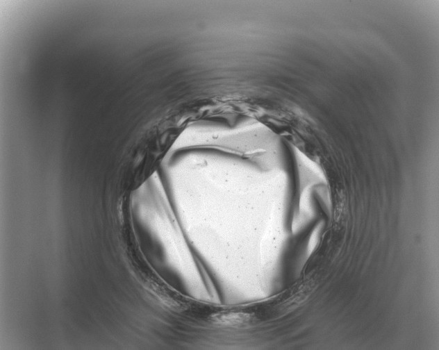 X0000070210452200606232109