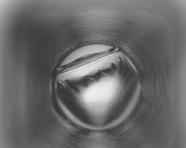 X0000070210454200606232109