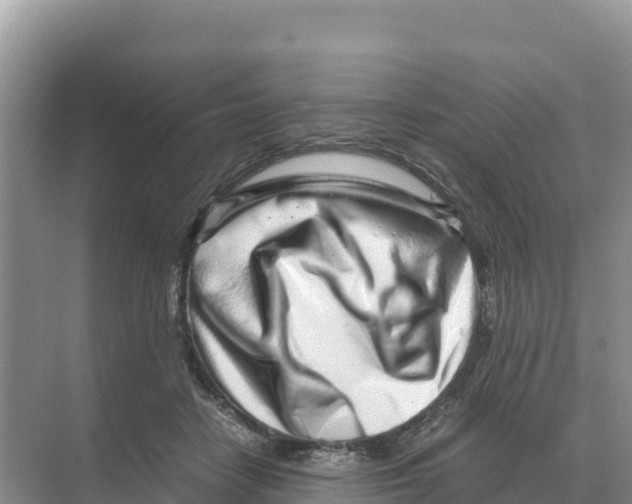 X0000070210458200606232109
