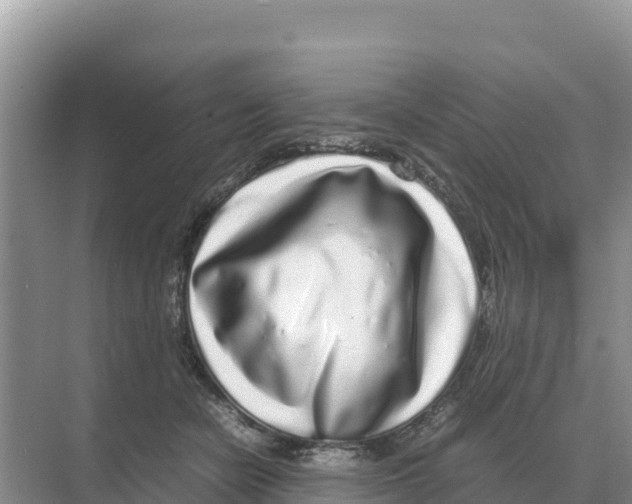 X0000070210462200606232109