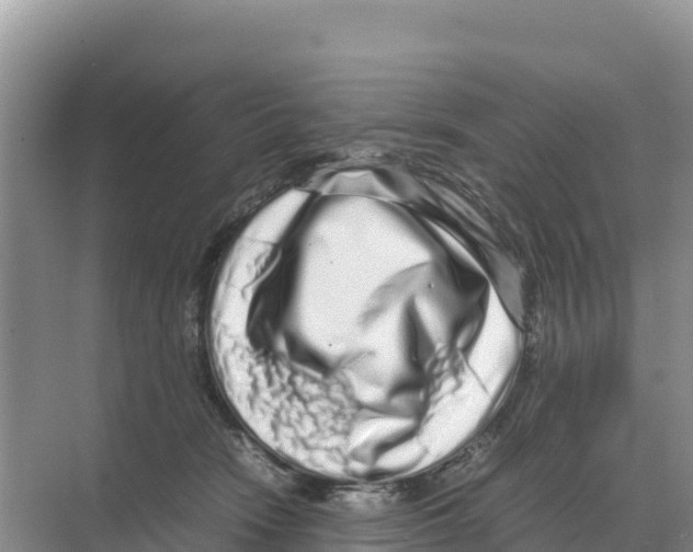 X0000070210466200606232109