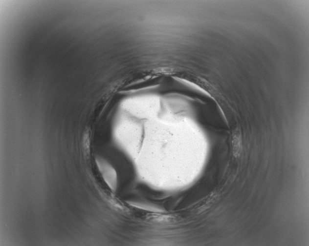 X0000070210472200606232109