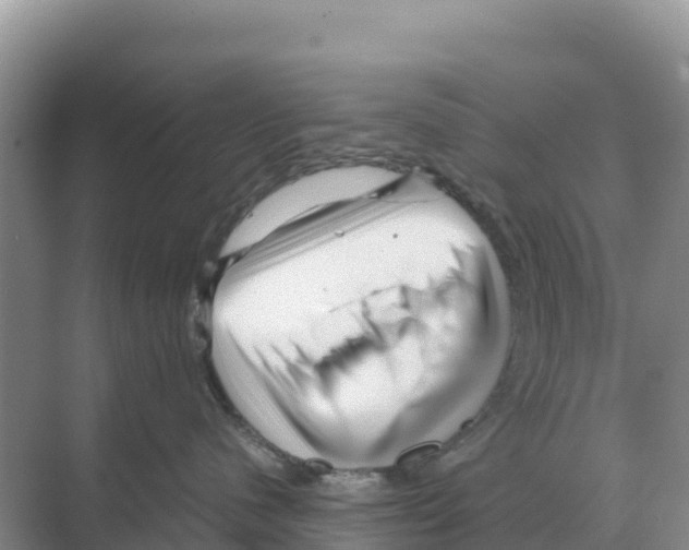 X0000070210480200606232109