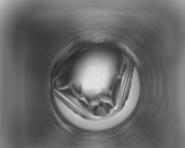 X0000070210493200606232108