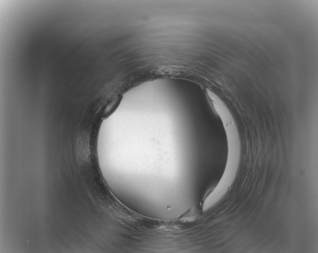 X0000070210508200606232108