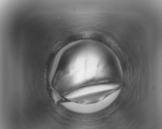 X0000070210509200606232108