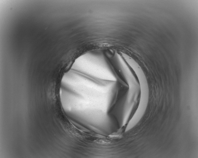 X0000070210512200606232108