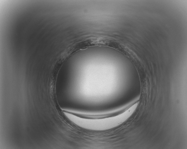 X0000070210513200606232108