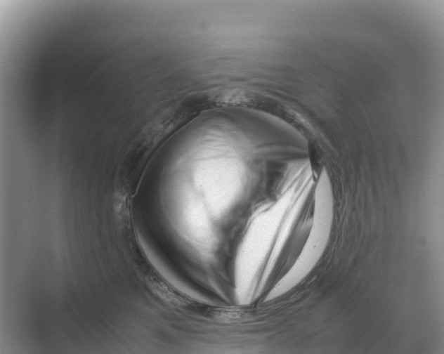 X0000070210521200606232108
