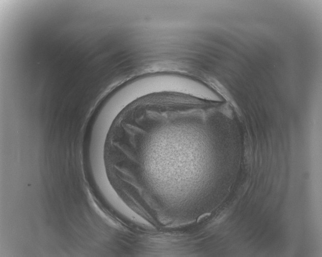 X0000070210530200606232107