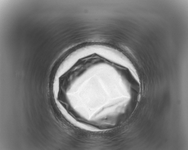 X0000070210531200606232107