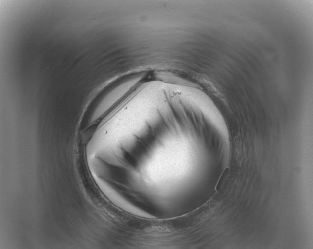 X0000070210536200606232107