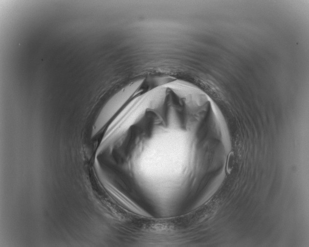 X0000070210546200606232107