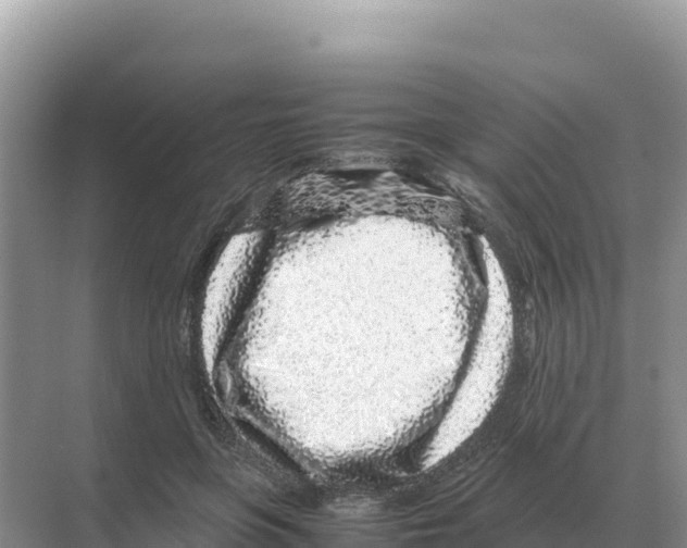 X0000070210551200606232107