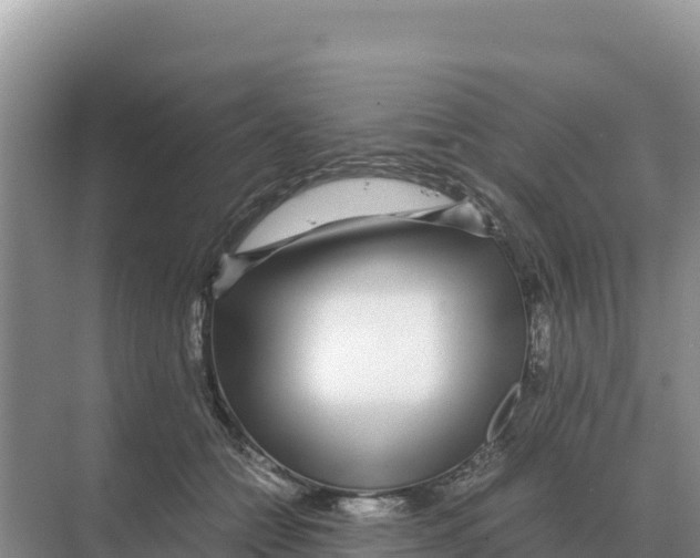X0000070210558200606232107